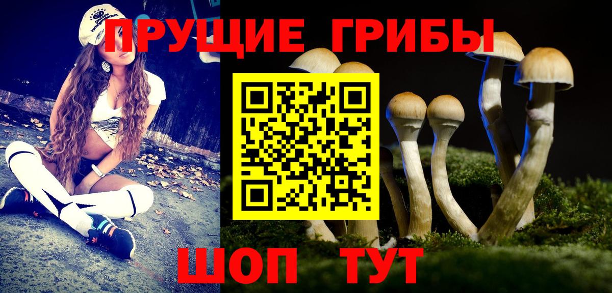 Галлюциногенные грибы Magic Shrooms  Галлюциногенные грибы Cubensis  Петропавловск-Камчатский  Вход с VPN 